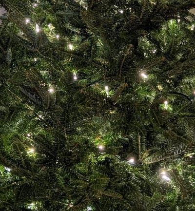 Winter Solstice Zoom Tomorrow